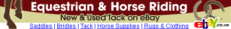 New and Used Tack on Ebay
