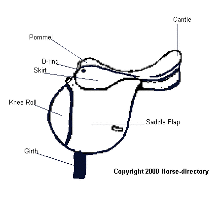 Parts of a saddle
